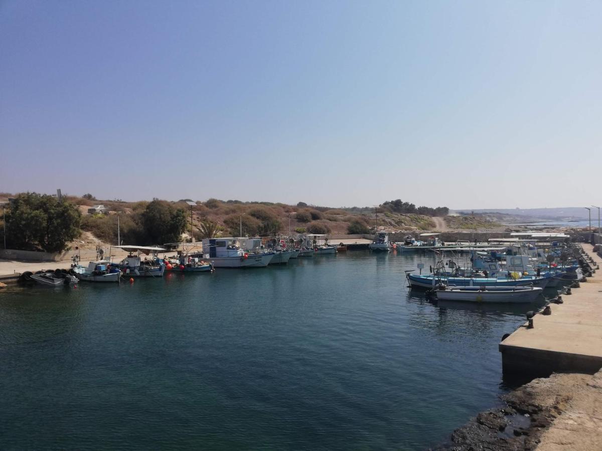 Larnaca Xylophagou 2-Bedroom Apartment With A Shaded Terrace Xylophaghou 外观 照片